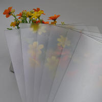 polycarbonate sheets with Impact resistance abrasive surface