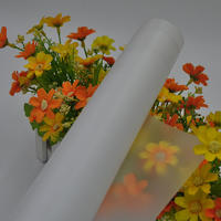 polycarbonate film 0.25mm thickness abrasion surface